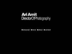Ari Amit website screenshot 1