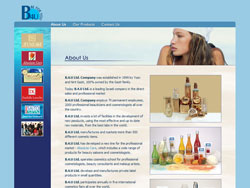 B4You website screenshot 3