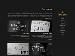 יקבי ברקן website screenshot 3