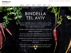 Bindella website screenshot 3