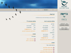 דורביט website screenshot 3