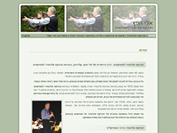 Eli Heifetz website screenshot 3