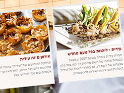 עידית לוגיסטיקת מזון website screenshot 2