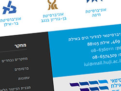 The Interuniversity Institute of Eilat website screenshot 2