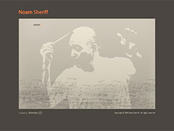 Noam Sheriff website screenshot 1