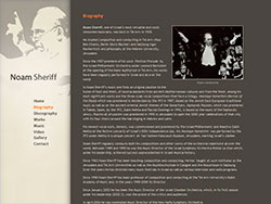 Noam Sheriff website screenshot 3