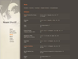 Noam Sheriff website screenshot 5