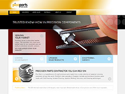 PicoParts website screenshot 1