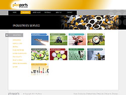 PicoParts website screenshot 3