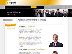 PicoParts website screenshot 5