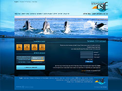 Red Sea Jazz Festival website screenshot 6