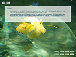 WateRevive website screenshot 6